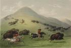 The Buffalo Hunt (oil on canvas)