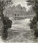Suspension bridge across the Ituri River, the Congo, 1890 (wood engraving)