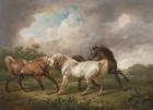 Three Horses in a Stormy Landscape (oil on canvas)