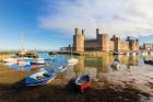 Caernarfon, Wales, UK. The castle. (photo)