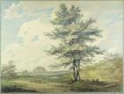 Landscape with Trees and Figures, c.1796 (w/c over graphite on paper)