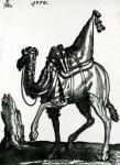 Camel (woodblock)