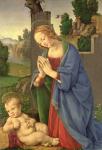 The Virgin Adoring the Child, 1490-1500 (oil on wood)