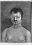 Woman of New Caledonia, engraved by Benard (18th century) illustration from 'Second Voyage of Captain James Cook", 1774 (engraving)