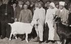 Mahatma Gandhi arrives in London, England in 1931 with his disciple, Madeleine Slade, and his two goats, from 'The Story of Twenty Five Years', published 1935 (b/w photo)