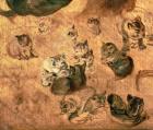 Study of cats, 1616 (oil on panel) (detail of 65879)