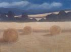 Two Hay Bales, 2012 (acrylic on canvas)