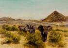 Elephant in Samburu, 2014 (oil on canvas)