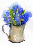 Hyacinth in pitcher, 2014, (watercolor)