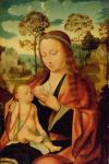 Mary with the Christ Child, early 16th century (oil on panel)