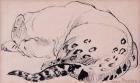 Sketch,Leopard,London Zoo 2005, (pen and ink)