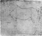 Study of a Horse (metal point on paper) (b/w photo)