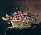 Basket of Plums (oil on canvas)