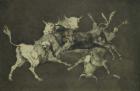 Folly of the Bulls, from the Follies series, c.1815-24 (etching and aquatint on Japanese paper)