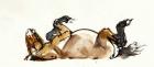 Rolling Horse (Przewalski), 2013 (sennelier ink, watercolour and gouache)
