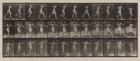 Plate Number 175. Crossing brook on step-stones with fishing-pole and can, 1887 (collotype)