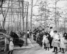 The Bear Pits, Memphis, Tennessee, c.1900-20 (b/w photo)