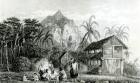 Interior of Pitcairn Island, 1831 (engraving) (b/w photo)