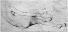 Study for The Grande Odalisque (graphite on paper) (b/w photo) (see also 233244)