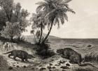 Chalk-age landscape (engraving)