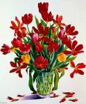 Tulips (w/c on paper)