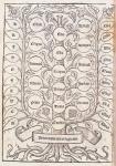 Celestial ladder from 'De Nova Logica' by Ramon Llull (c.1235-1316) c.1512 (woodcut)
