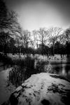 Central Park Winter Lake