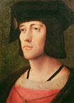 Portrait of a Knight of the Golden Fleece (oil on canvas)