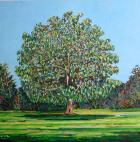 Bow Tree Summer, (oil on canvas)