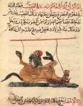 Operation on a horse, illustration from the 'Book of Farriery' by Ahmed ibn al-Husayn ibn al-Ahnaf, 1210 (vellum)