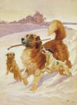 Three dogs playing in the snow, 1881