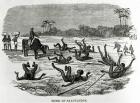 Mode of Salutation, illustration from 'Great African Travellers, from Mungo Park to Livingstone and Stanley', a novel by William H.G. Kingstone, first published in 1874 (engraving)