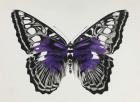 Butterfly purple, 2015, (silkscreen print)
