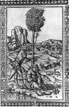Frontispiece for a book of poems by Francesco Petrarch (engraving)
