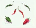 Chillies and Peppers, 2005 (w/c on paper)