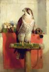 Falcon, 1837 (oil on canvas)