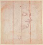 Study for the Head of the Libyan Sibyl (black chalk on paper) (verso)