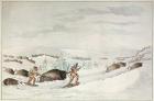 Hunting buffalo on snow-shoes (colour litho)