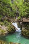 Visitors walking on wooden walkways which run the length of the Vintgar Gorge near Bled, Triglav, National Park, Upper Carniola, Slovenia (photo)