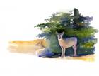 Two Deer, 2014, (watercolor)