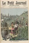 The Wine Harvest, from 'Le Petit Journal', 31st October 1891 (colour litho)