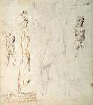 Study of the Christ Child and an Anatomical Drawing with Notes (black chalk & brown ink on paper) (verso)