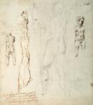 Study of the Christ Child and an Anatomical Drawing with Notes (black chalk & brown ink on paper) (verso)