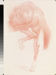 Kicking Off, Series 4, 2012 (red chalk on paper)