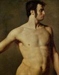 Male Torso, c.1800 (oil on canvas)