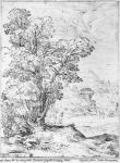 Wooded landscape (pen & ink on paper) (b/w photo)