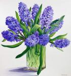 Blue Hyacinths (watercolour on paper)