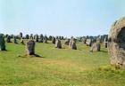 Alignment of standing stones, Megalithic Period, 4th-3rd millennium BC (photo)