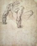 W.63r Study of a male nude, leaning back on his hands (pencil on paper)