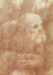The School of Athens, detail of the cartoon depicting an elderly man, c.1510 (charcoal & white lead on paper)